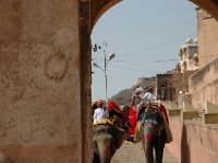 DSC_6286 Jaipur